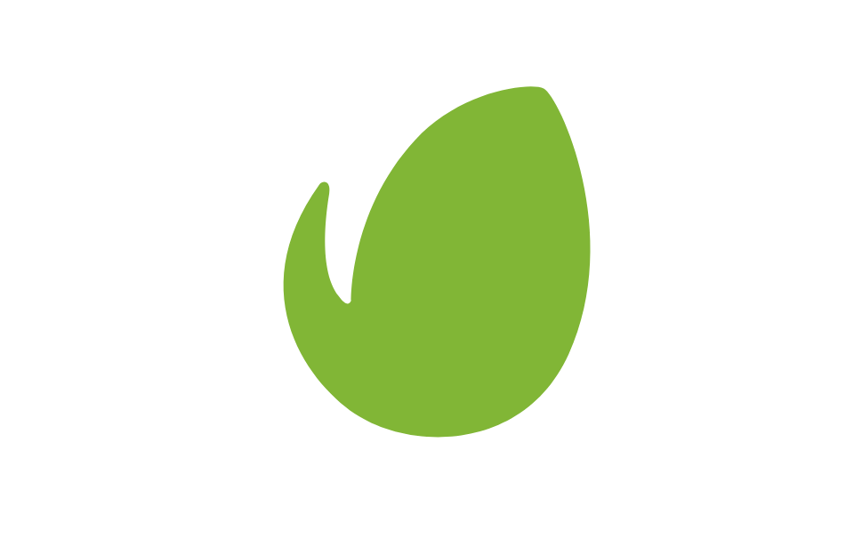 Envato Elements